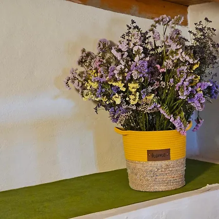 Casa Roque 別荘 ガラチコ